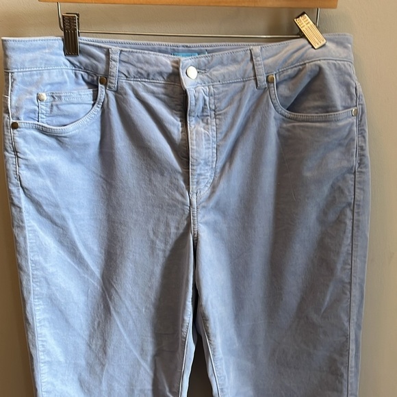 J. McLaughlin Watson Velvet Jeans Pants Baby Blue Size 12 - Picture 2 of 7